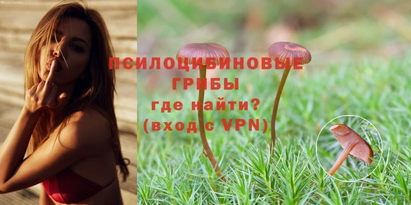 гидропоника Надым