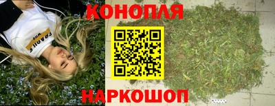 ECSTASY Камышлов