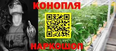 стафф Кандалакша