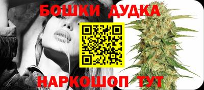 ECSTASY Камышлов