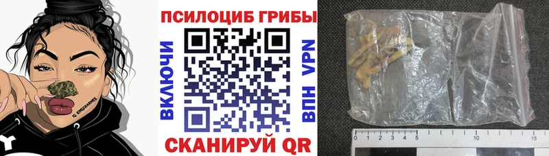 гидра ССЫЛКА  Новомосковск  Псилоцибиновые грибы Psilocybe 
