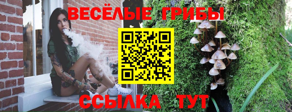 Галлюциногенные грибы мухоморы Новомосковск