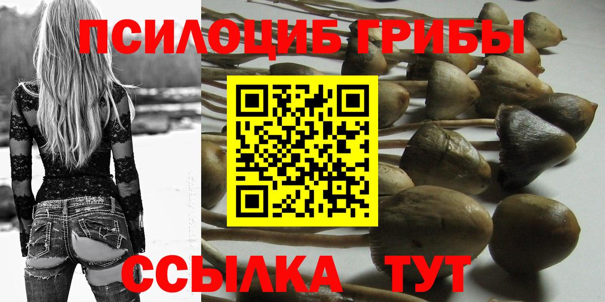 Новомосковск  Псилоцибиновые грибы Magic Shrooms  Вход с VPN  дарнет шоп  Псилоцибиновые грибы Psilocybine cubensis 
