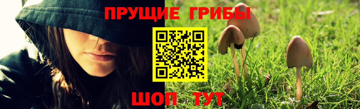 Псилоцибиновые грибы Magic Shrooms  наркота  Новомосковск 